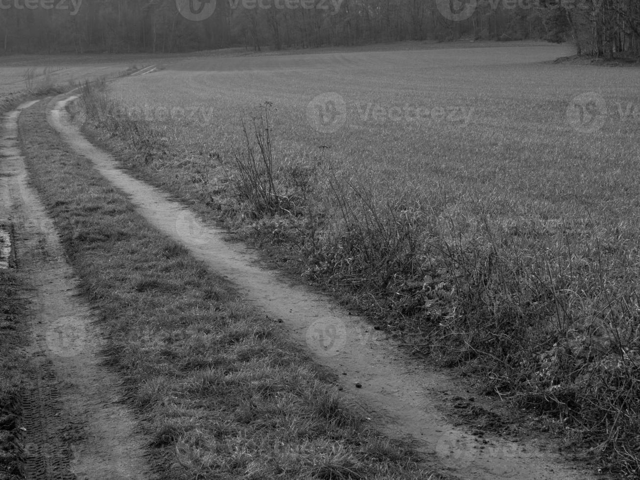 im deutschen Münsterland foto