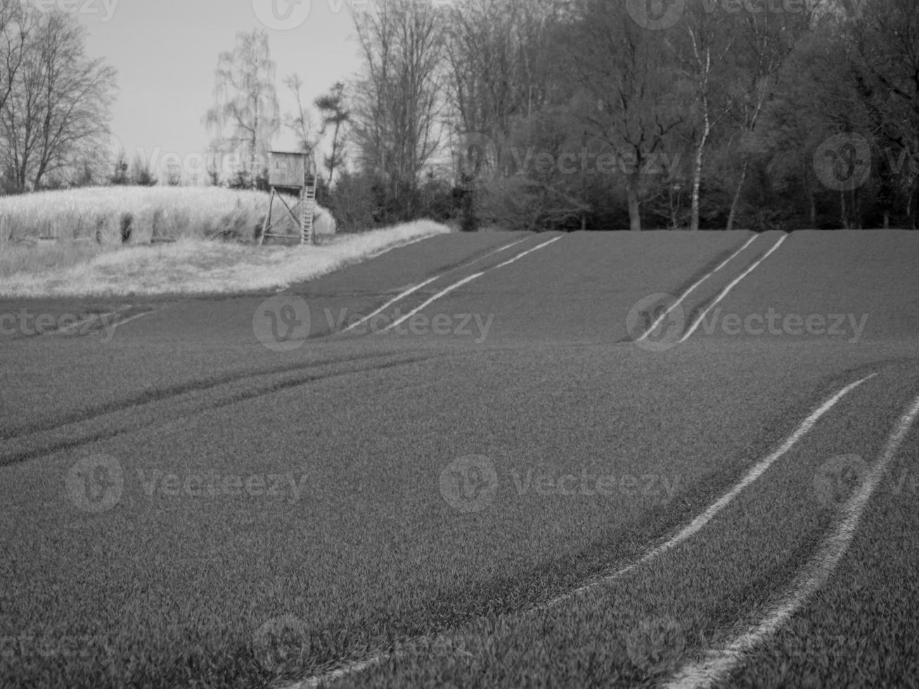 Wandern in deutsch westfalen foto