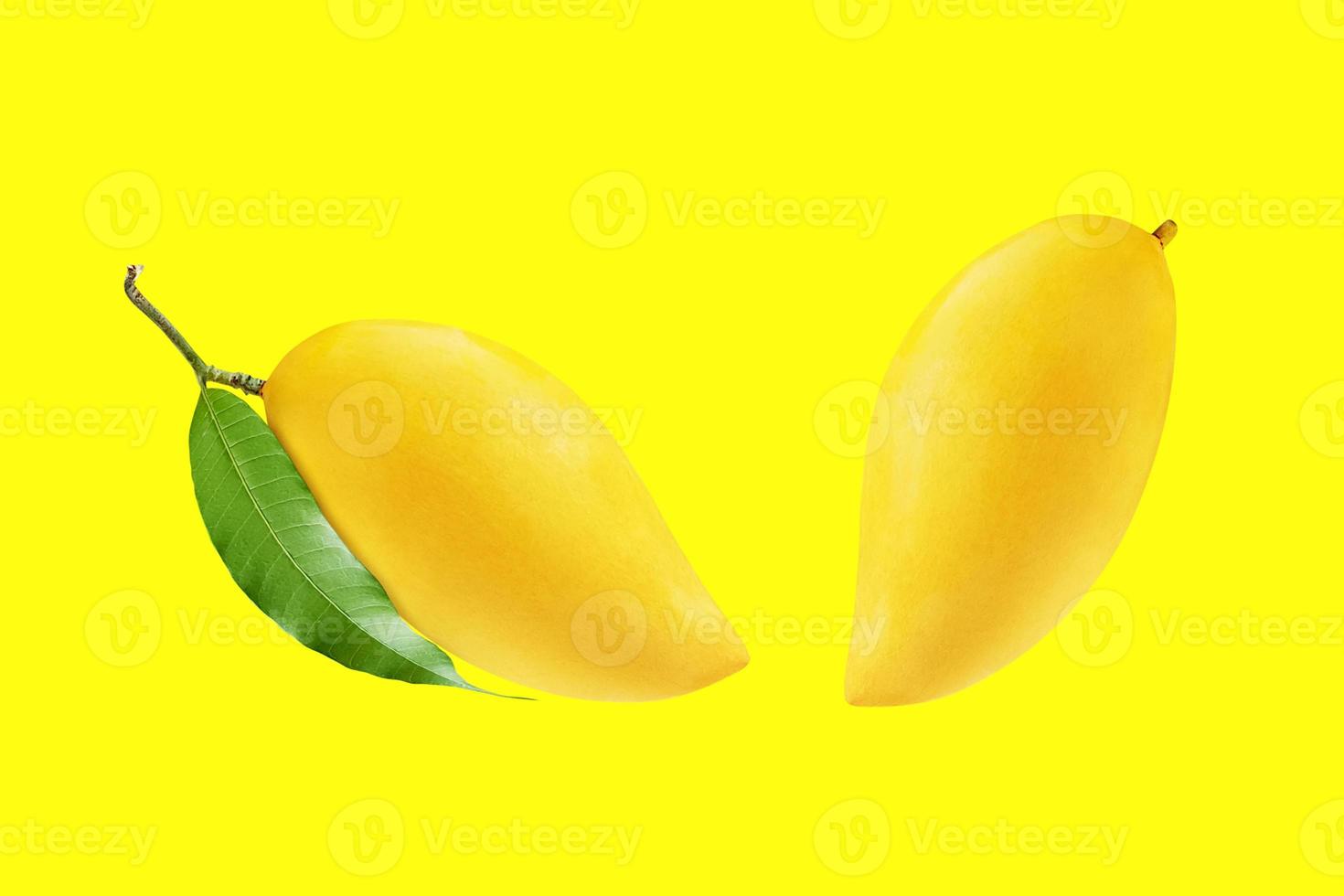 2 köstliche reife Mangos auf gelbem Hintergrund foto