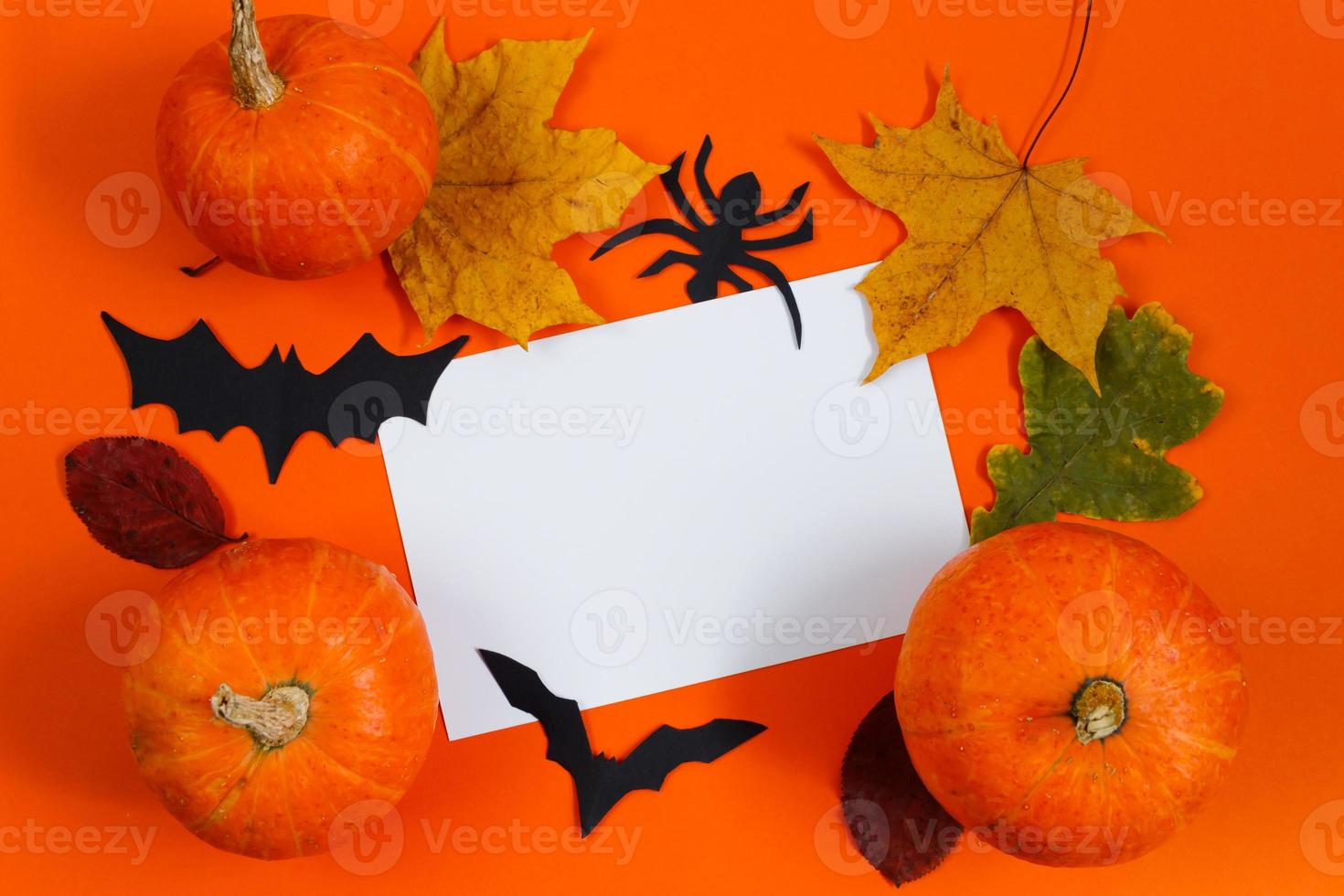 Halloween-Konzept. festliche Dekorationen. Kürbisse und Grußkarte auf orangem Hintergrund. foto