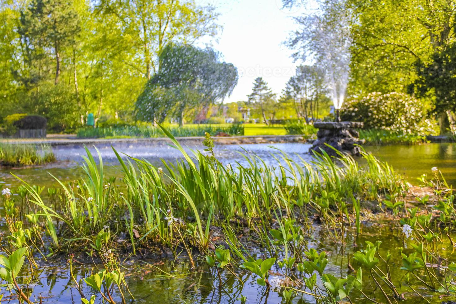 brunnen hoch gras wasser teich park bad bederkesa see germany. foto