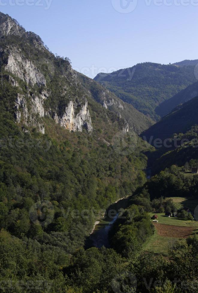 ein grünes tal, das durch die wunderschöne landschaft montenegros führt foto