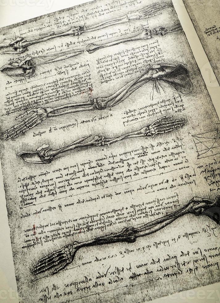 anatomiekunst von leonardo da vinci in der medizinischen ausstellung in kandy foto