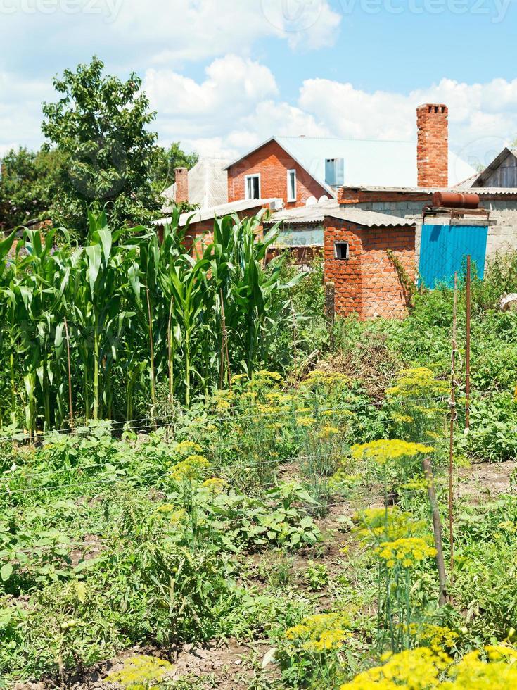 Blick auf den Dorfgarten im Hinterhof foto