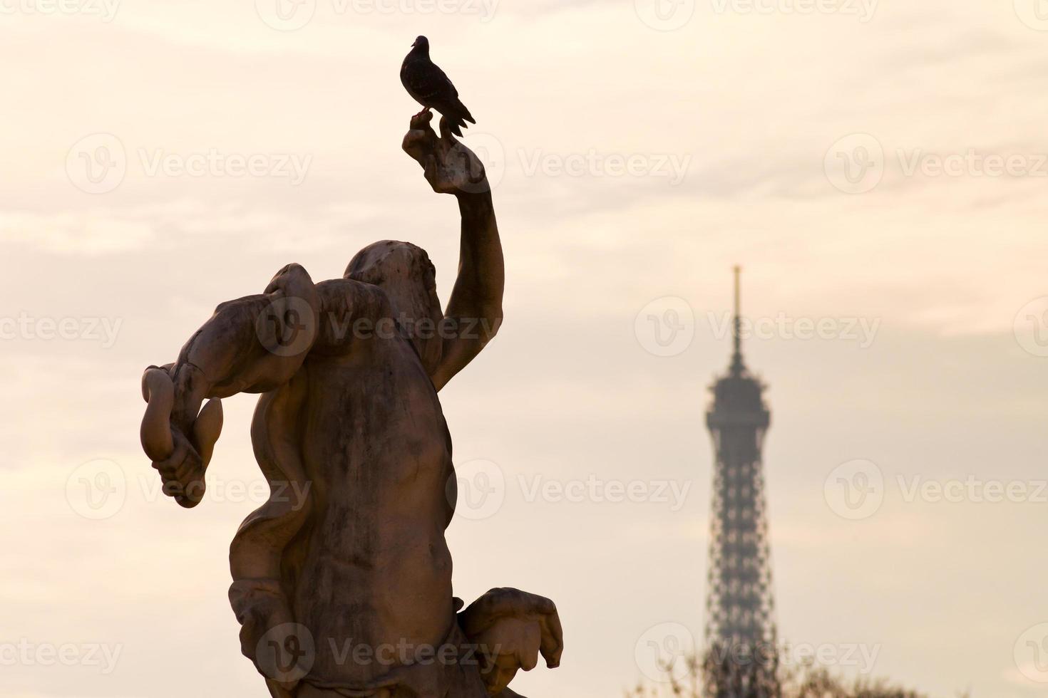 Taube, Statue und Eiffelturm in Paris foto