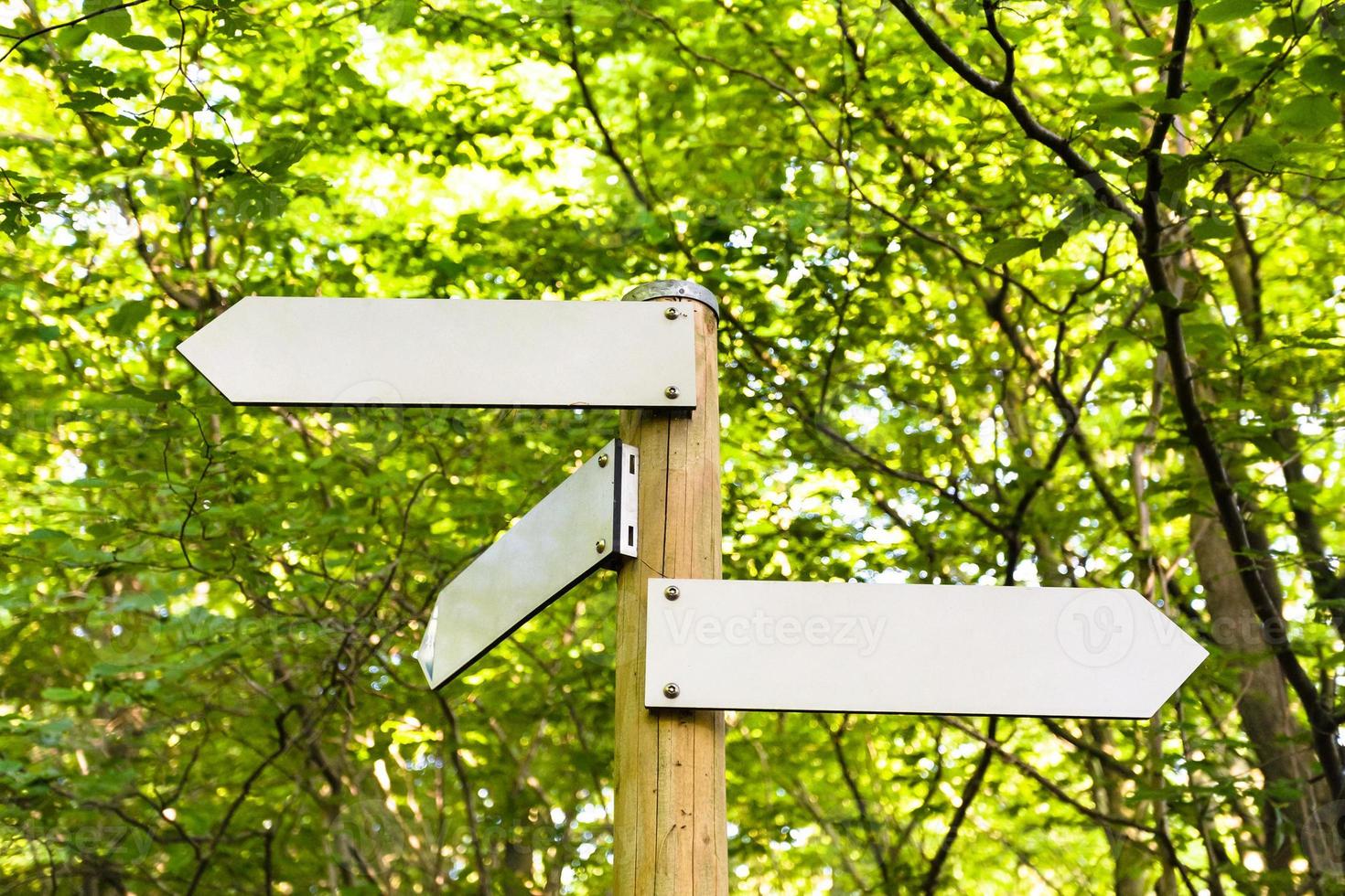 Pfeile im Wald am Gerolsteiner Berg foto