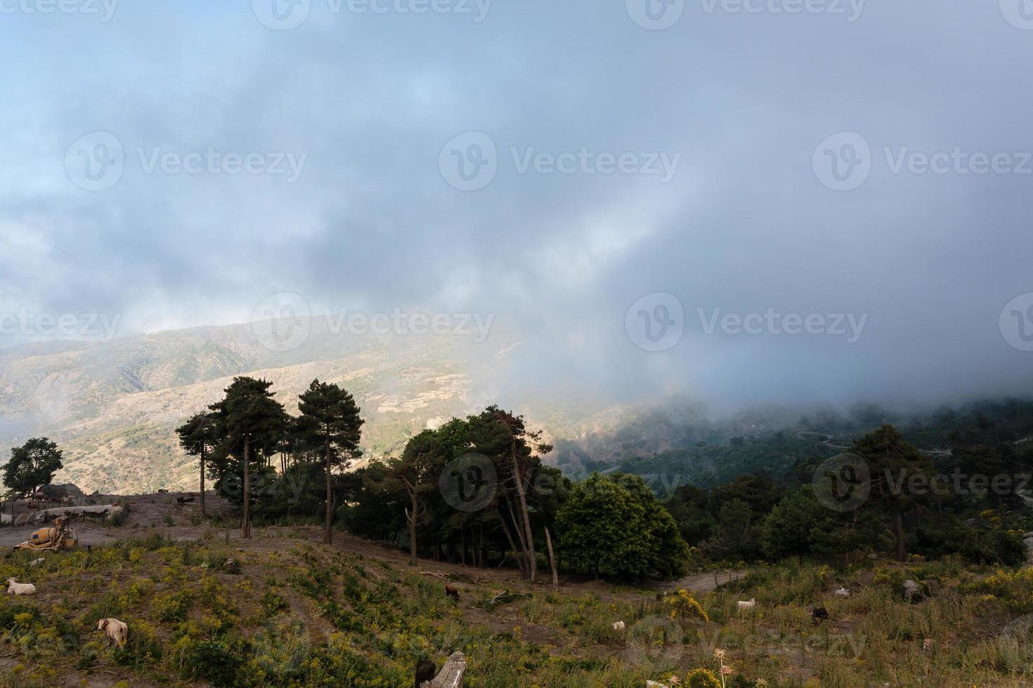 Hochlandweide in der Ätna-Region auf Sizilien foto