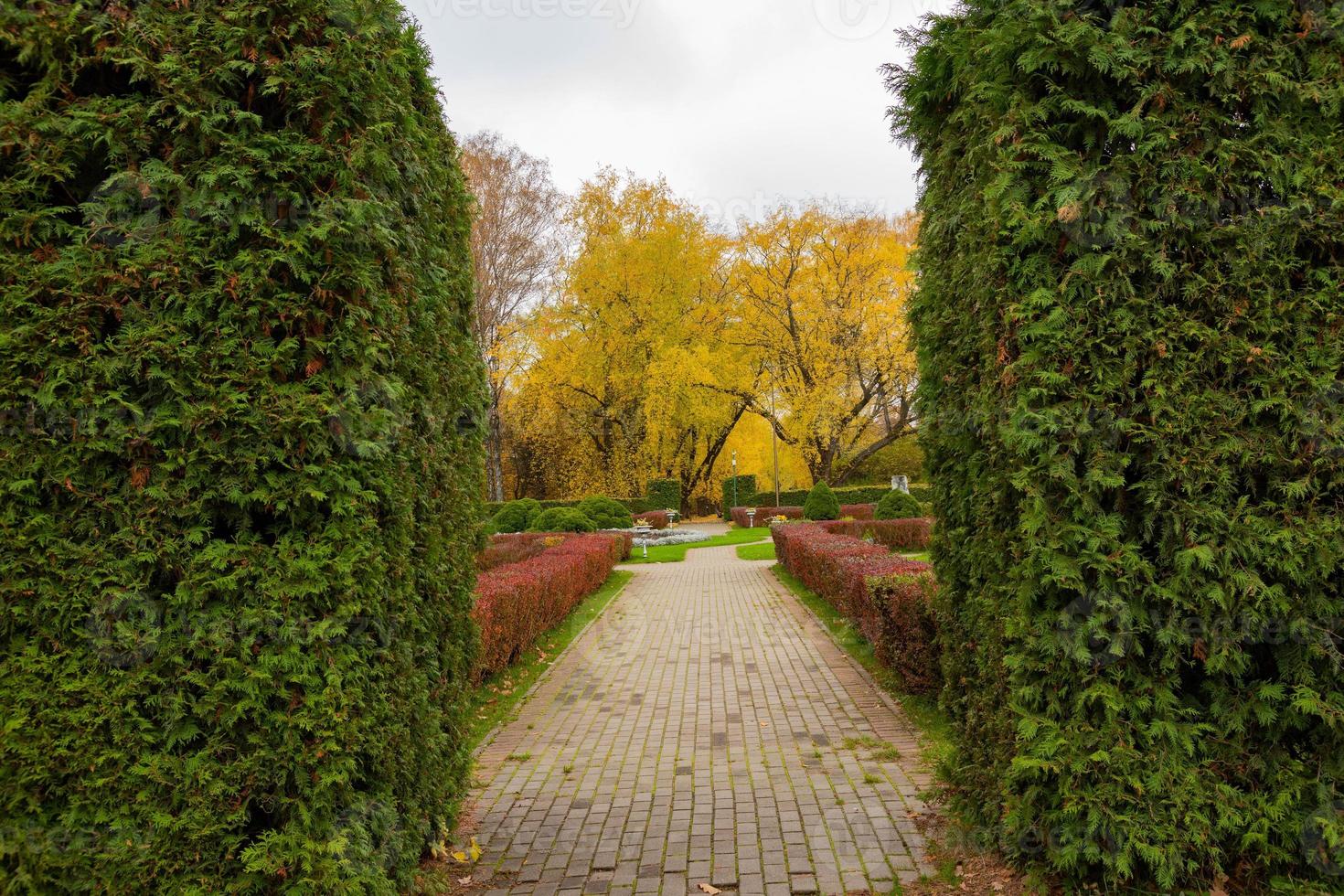 Grüner Herbstrasen in einem Stadtpark. Landschaft. foto
