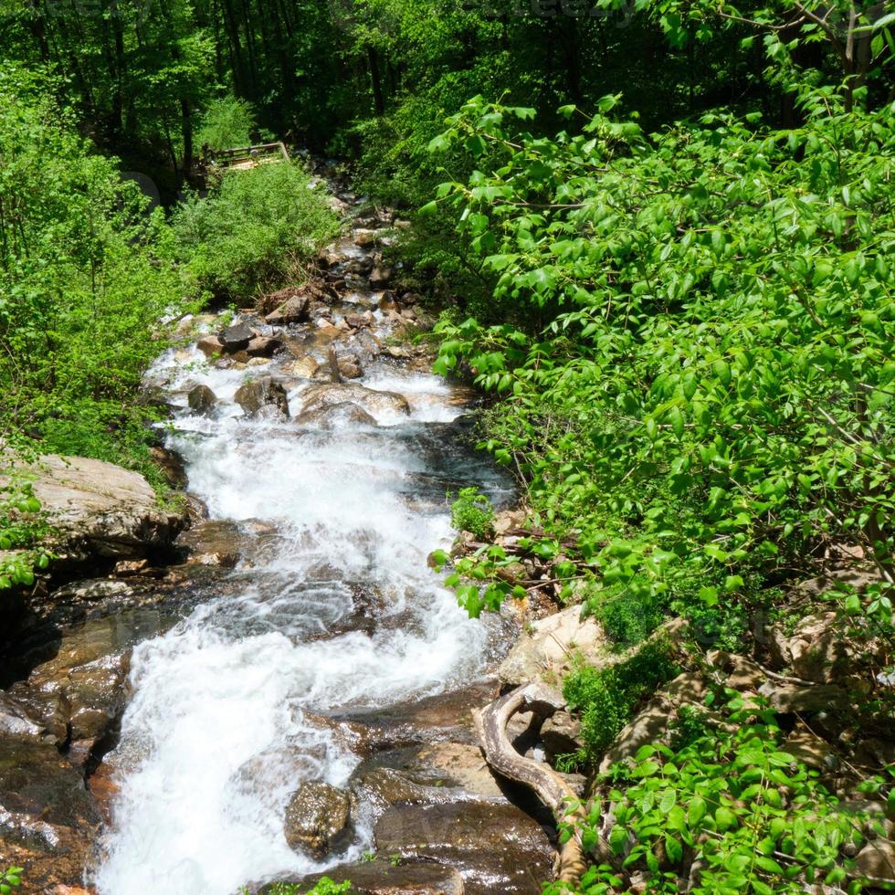 amicalola fällt Wasserfall im Frühjahr foto