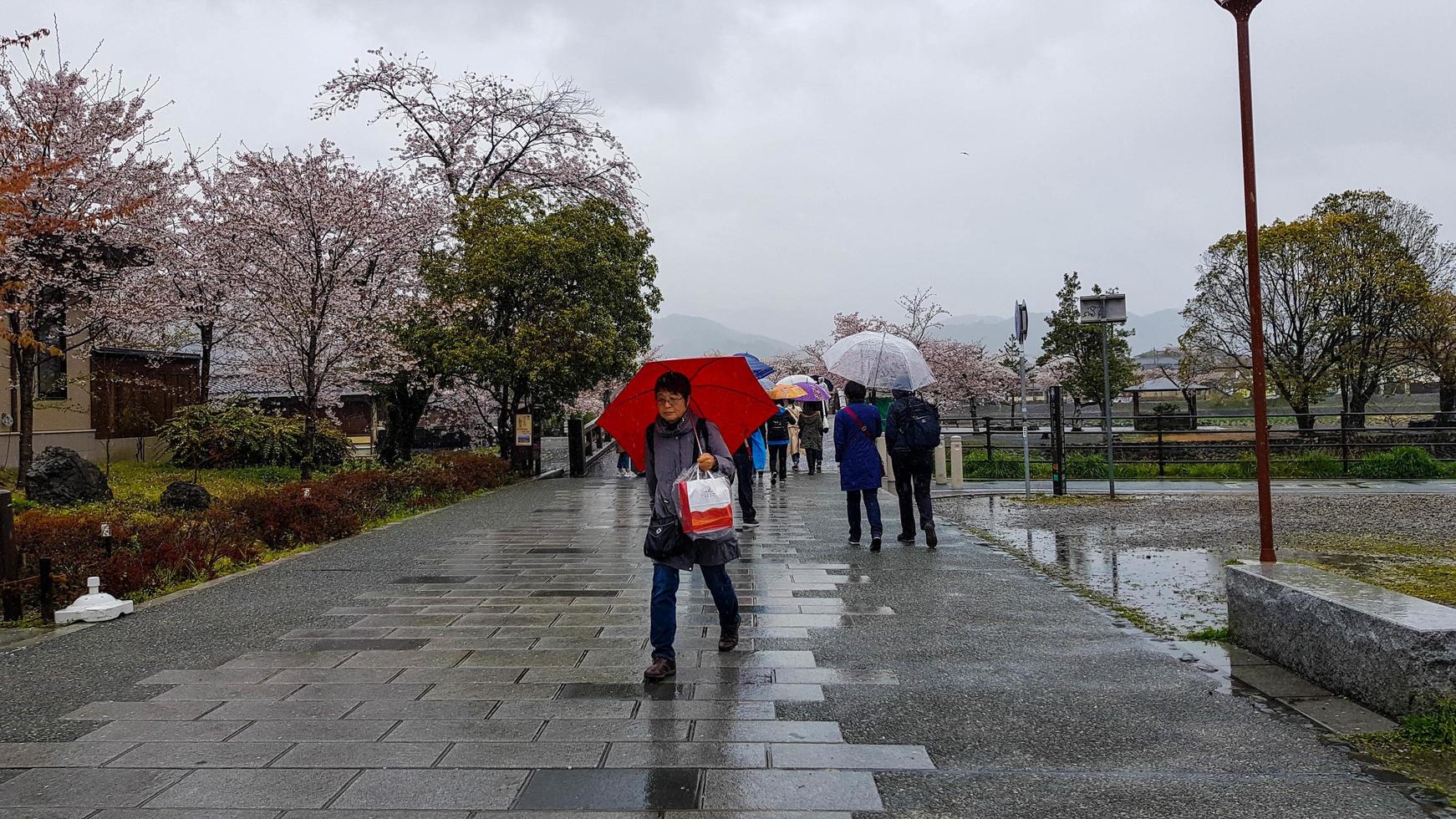 kyoto, japan am 8. april 2019. menschen gehen mit regenschirmen spazieren, weil es regnet. foto