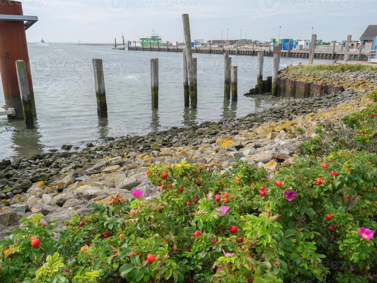 insel spiekeroog in deutschland foto