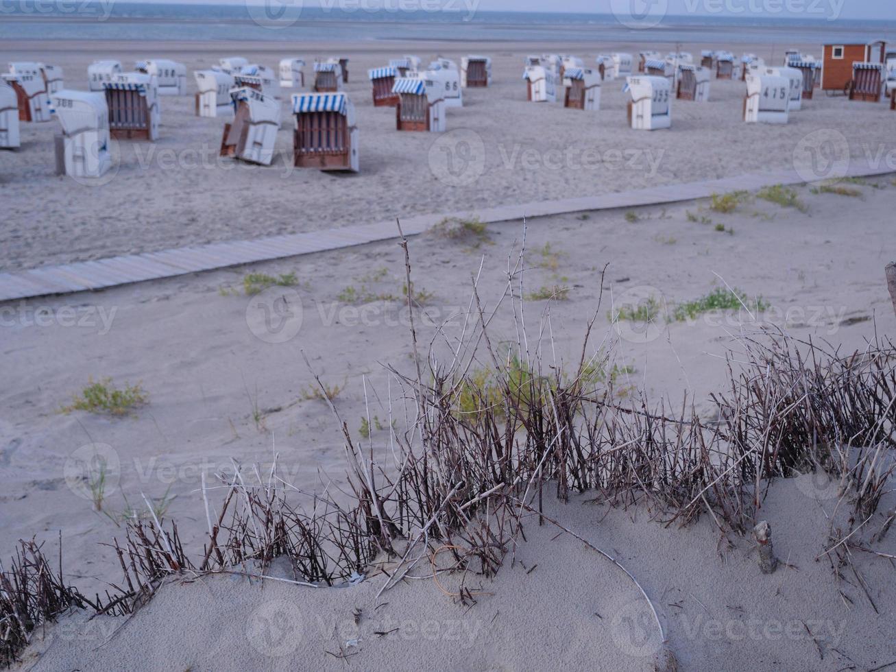 die Insel Spiekeroog foto