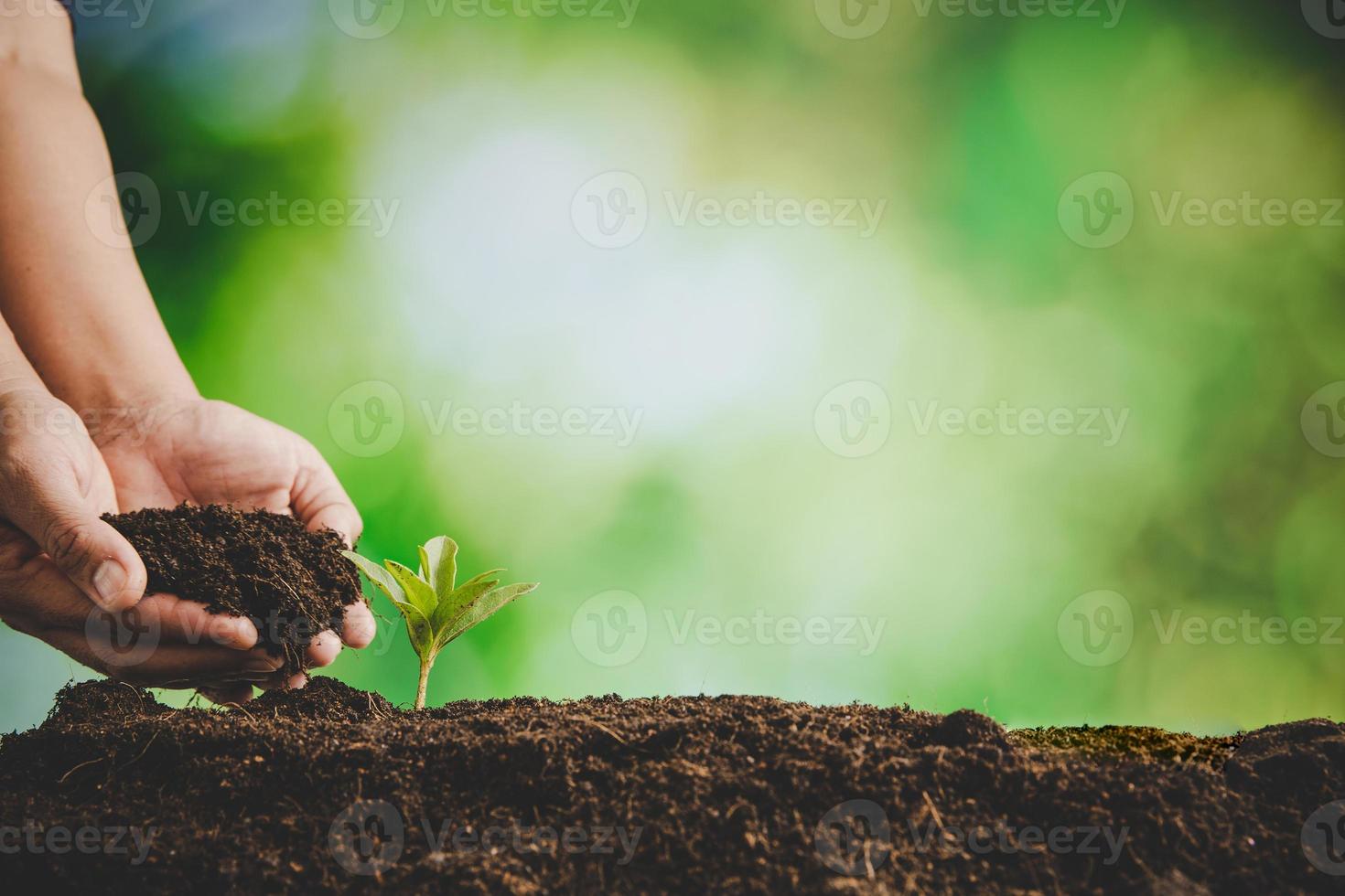 Schmutzige Hände pflegen am Weltumwelttag Bäume in der Erde zu pflanzen. junges kleines grünes neues lebenswachstum auf dem boden in der ökologienatur. mensch züchtet sämlinge und schützt im garten. Landwirtschaftskonzept foto