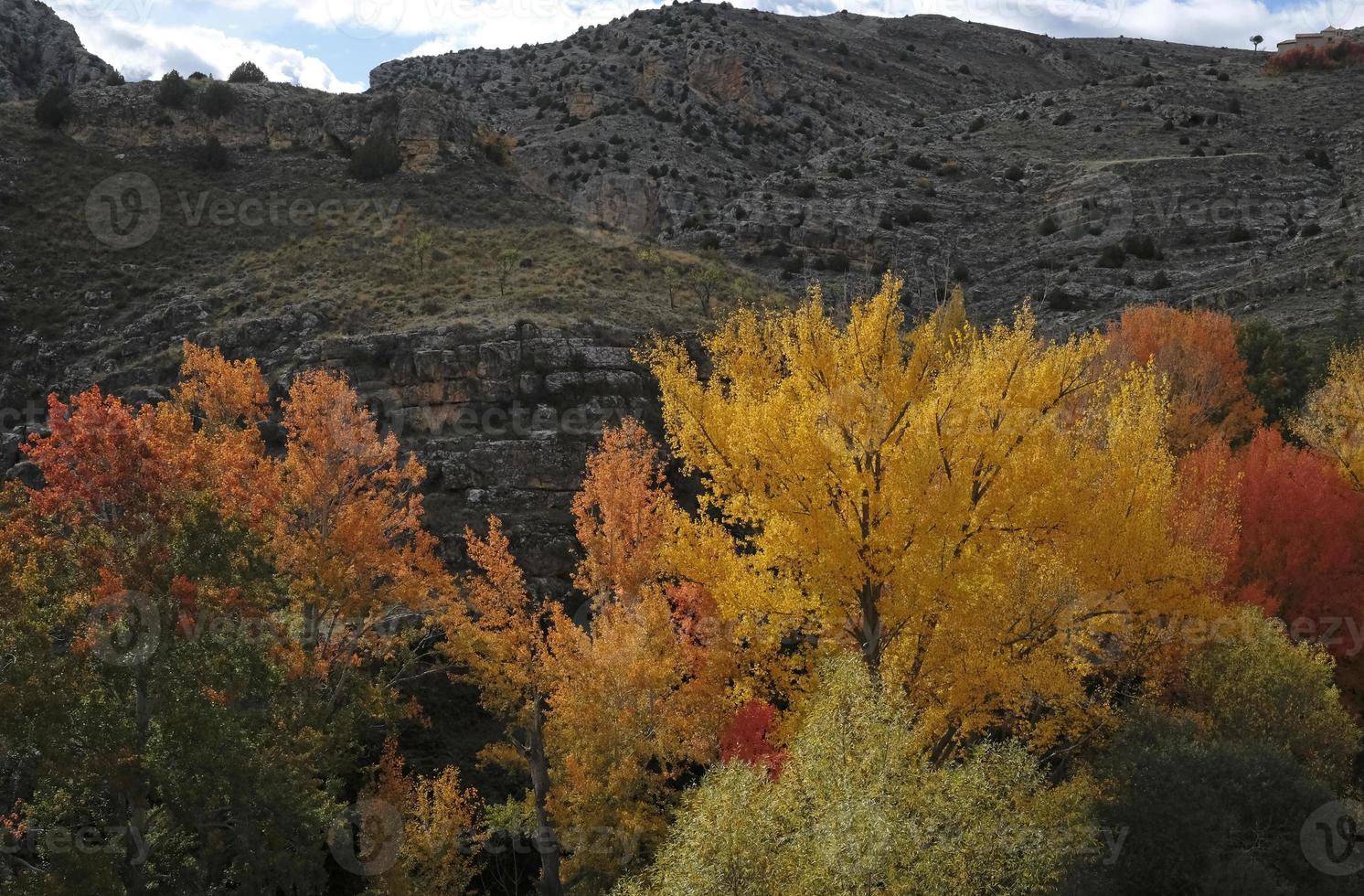 bunte Anzeige von Bäumen in der Herbstsaison in Spanien foto