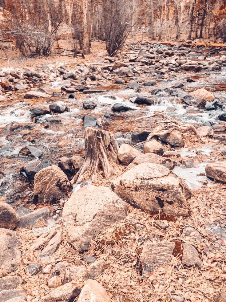 Felsen im Wasser foto