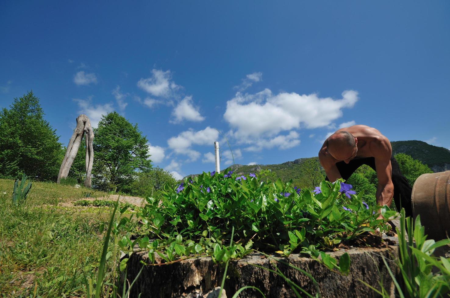 Mann Gartenarbeit foto