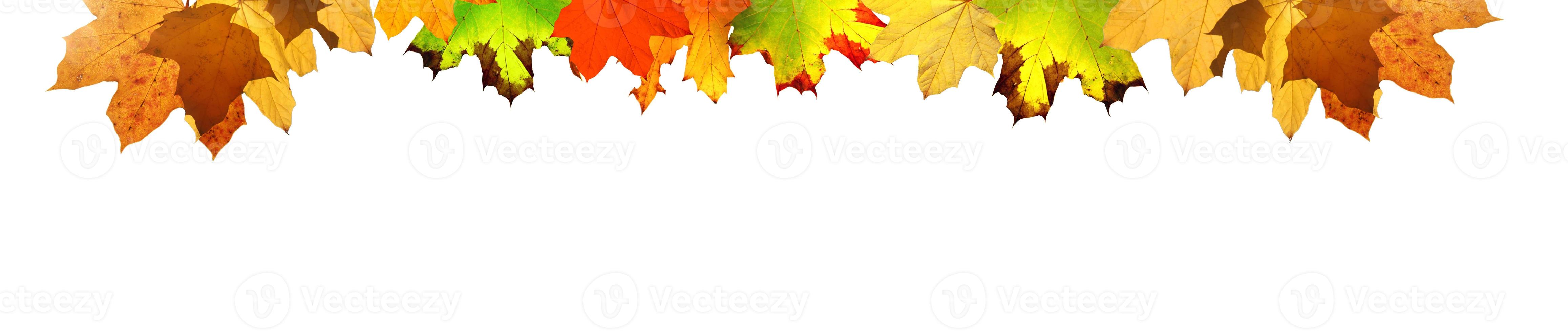 bunte helle Blätter isoliert auf weißem Hintergrund in einem Rahmen foto