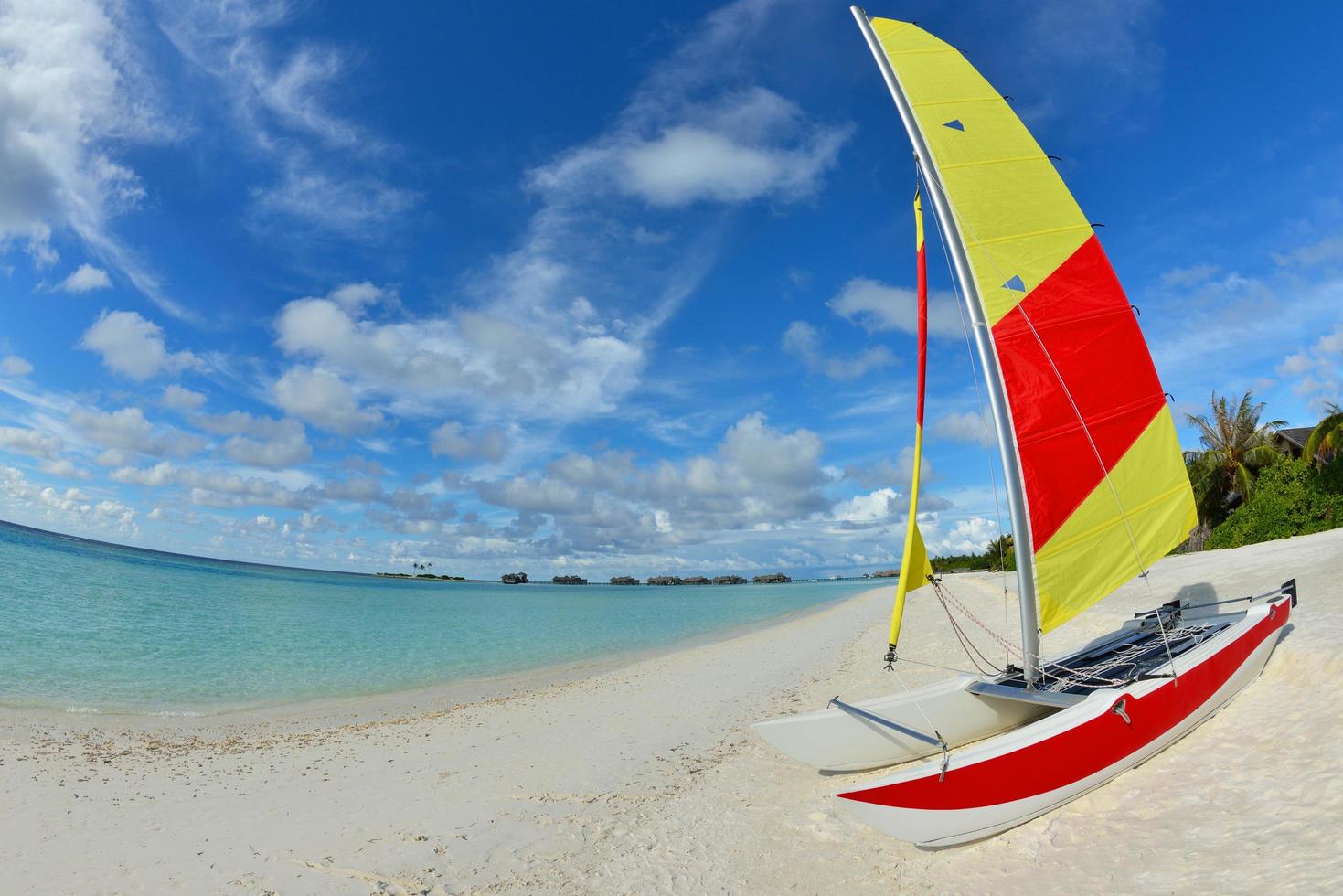 Blick auf den tropischen Strand foto