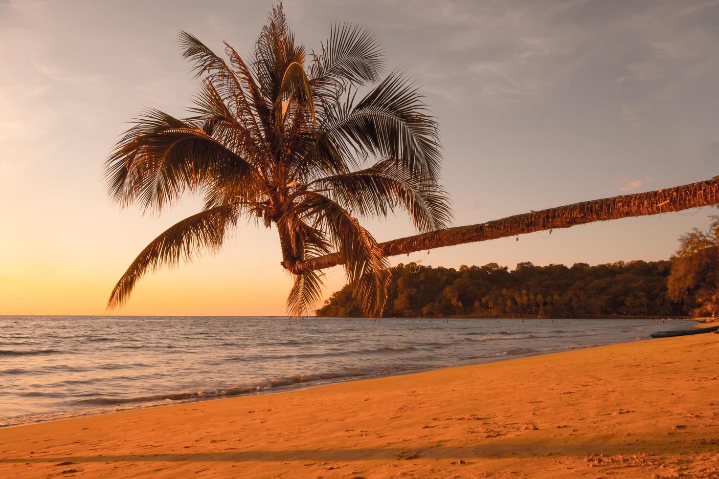 schöner sonnenuntergang über dem meer mit palmen am tropischen strand der bunte himmel über dem meer für reise und urlaub foto