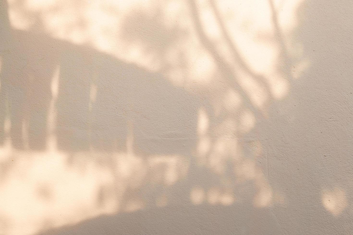 grauer Schattenblattbaum auf Wandhintergrund foto