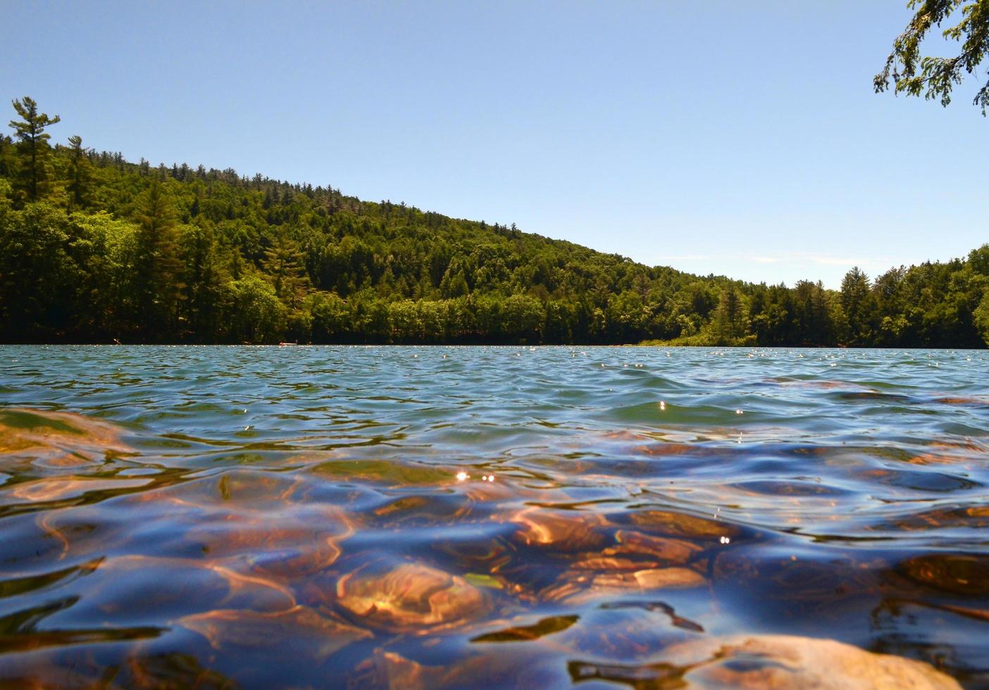 Emerland Lake State Park, Dorset, Vermont foto