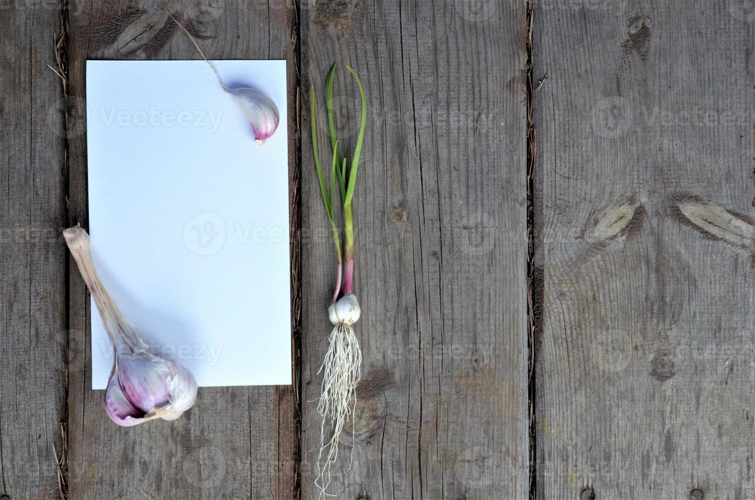 Knoblauch und Knoblauchzehen auf einem weißen Blatt mit Platz zum Schreiben auf Holzhintergrund foto