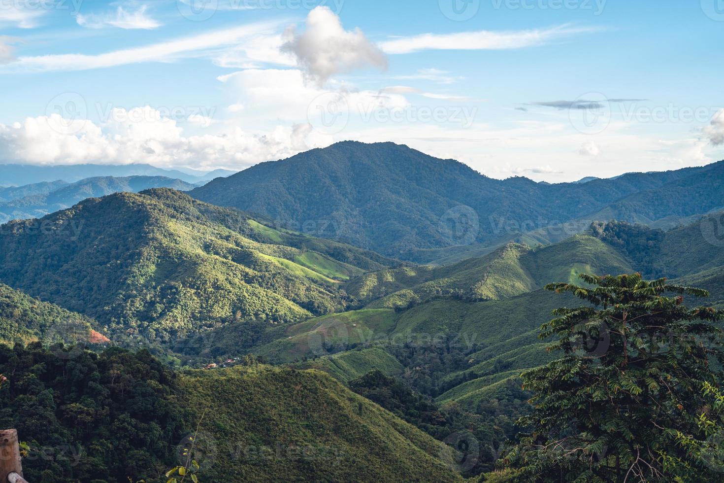 Green Mountain Valley Nan Thailand, grüne Bergfelder mit blauem Himmel foto