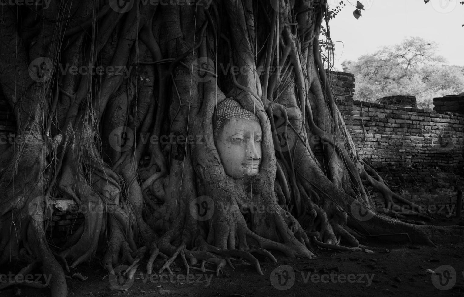 Kopf der Buddha-Statue in Baumwurzeln bei Ayutthaya, Thailand. foto