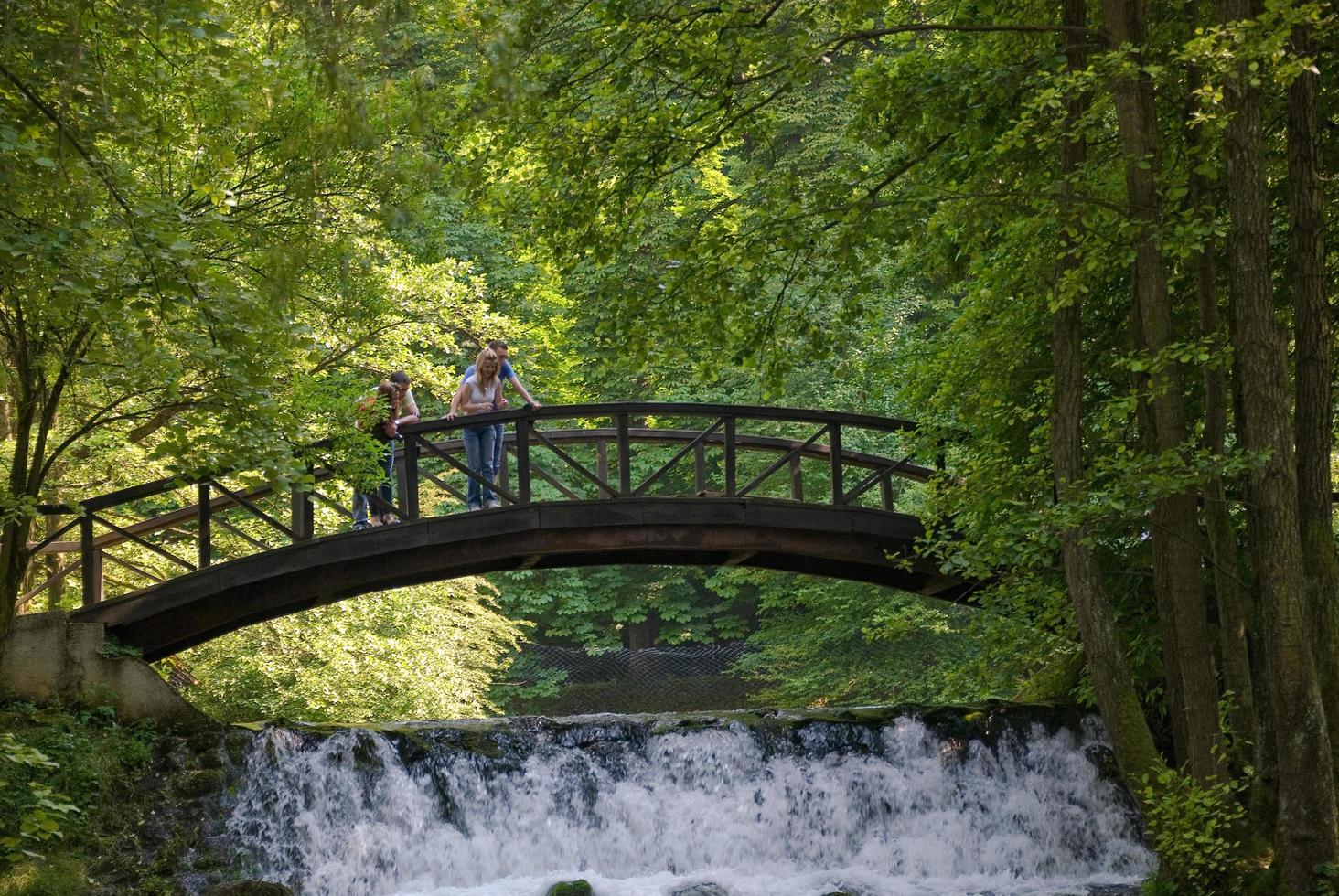 Holz bringt über kleinen Wasserfall foto