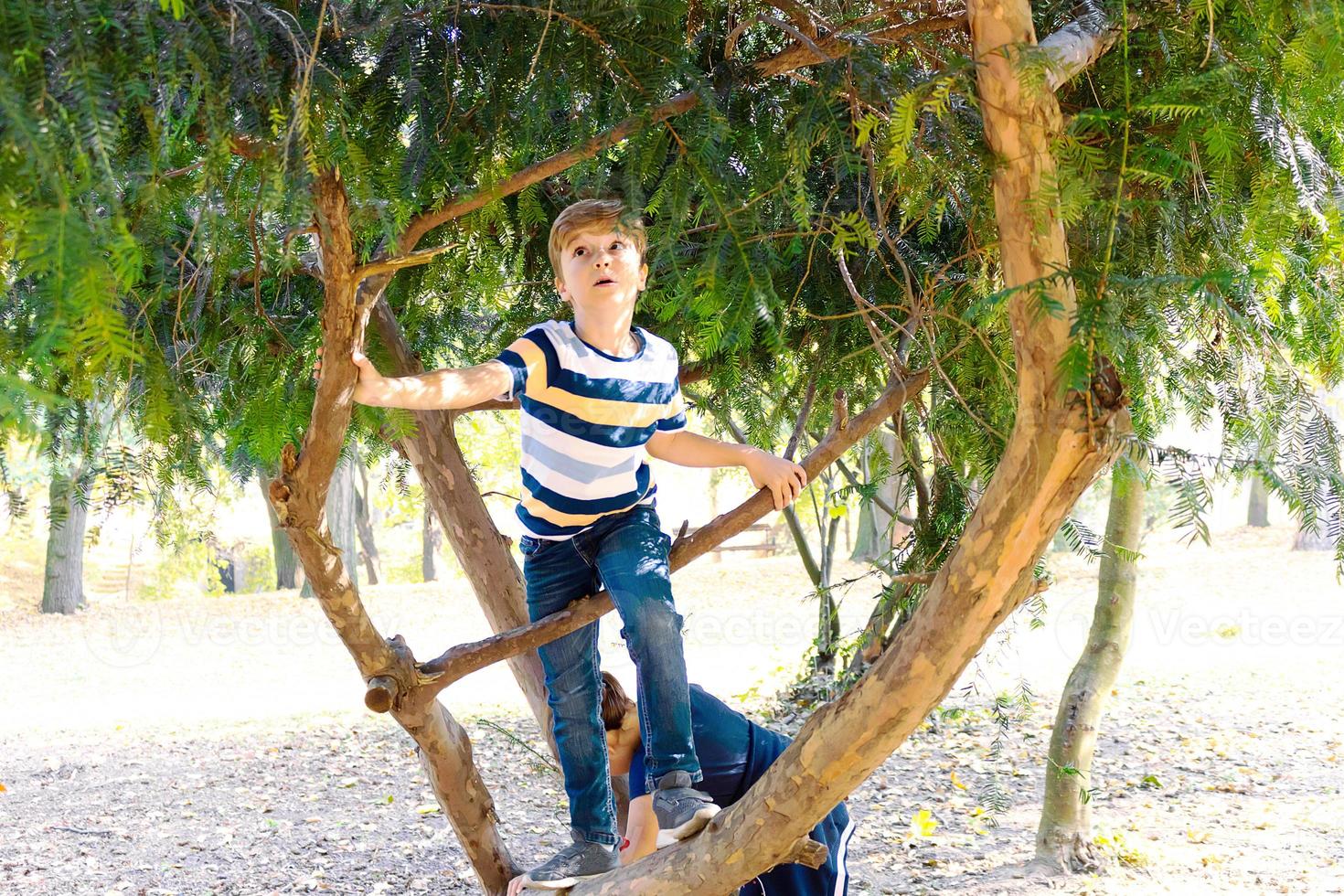 kleiner Junge, der auf einen Baum im Park klettert. foto