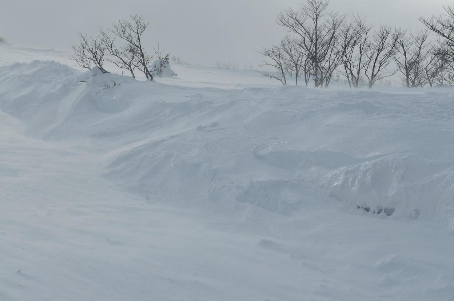 Blick auf die Winterlandschaft foto