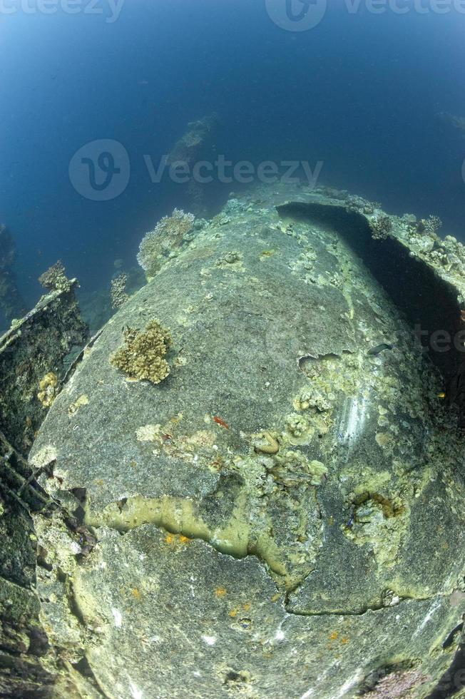 umbrien schiffswrack im roten meer foto