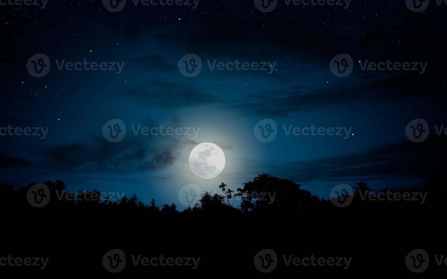 Nachtlandschaft mit Vollmond. foto