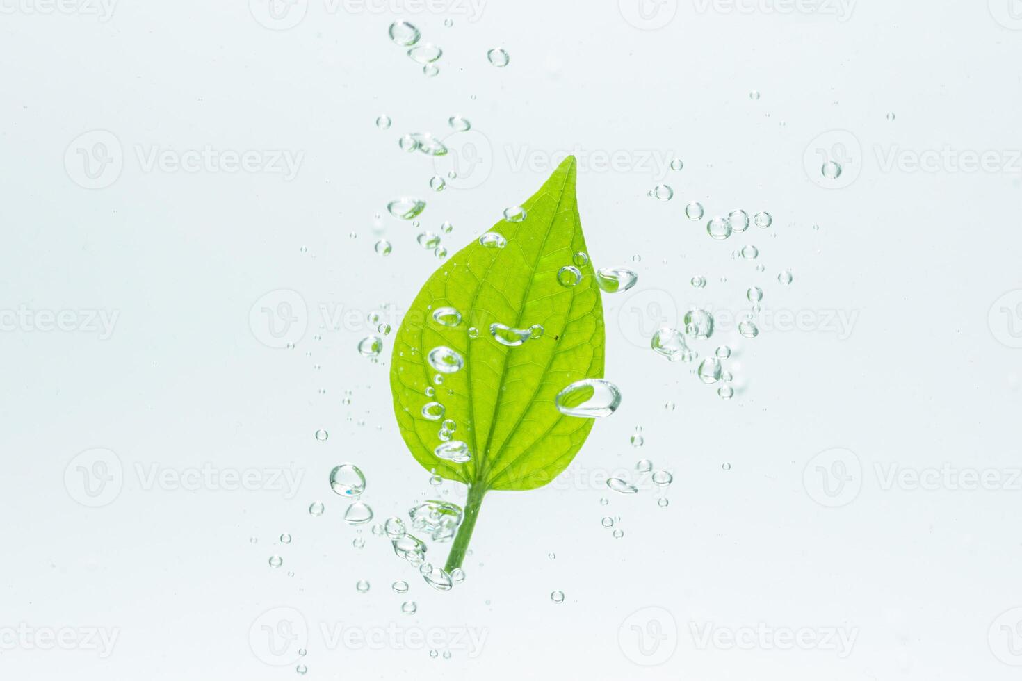 Blatt im Wasser mit Blasen foto