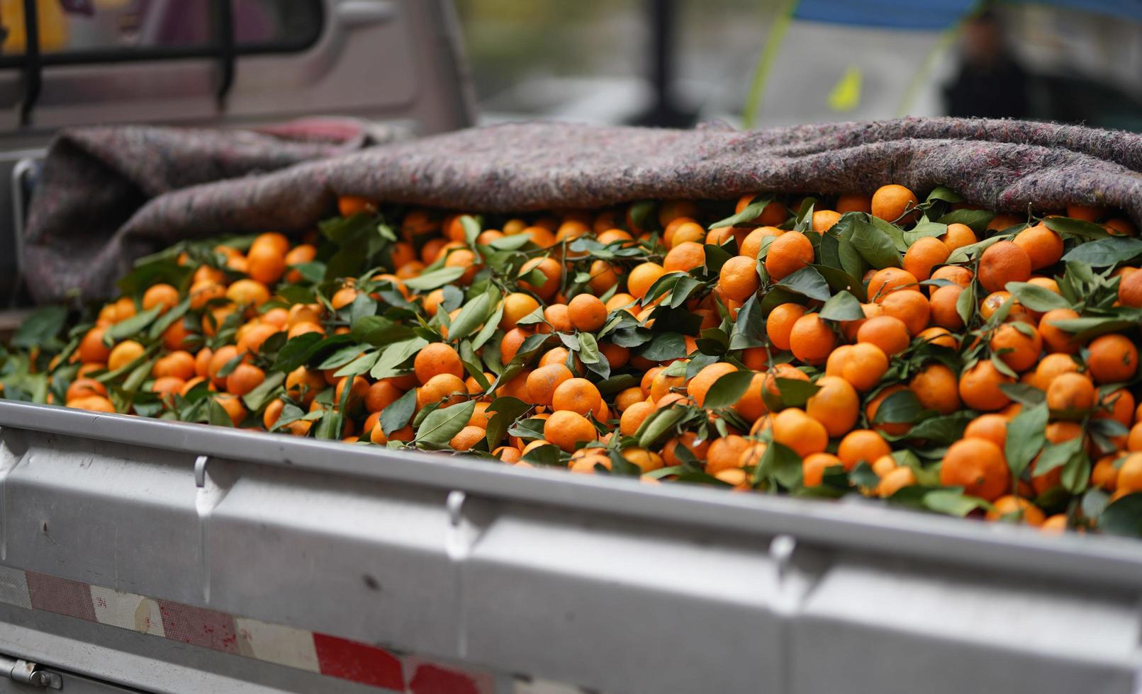 Haufen Orangen foto