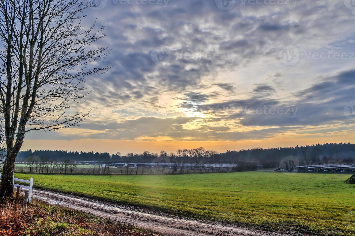 Blick auf ein landwirtschaftlich genutztes Feld mit grünem Gras. foto