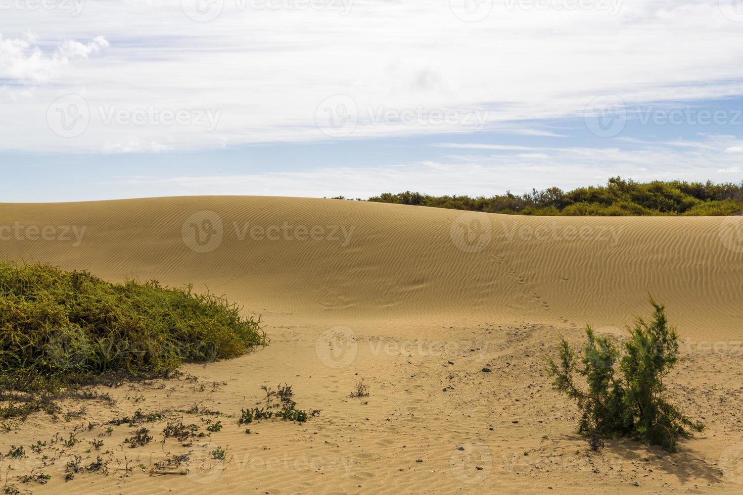 maspalomas duna - wüste auf der kanarischen insel gran canaria foto