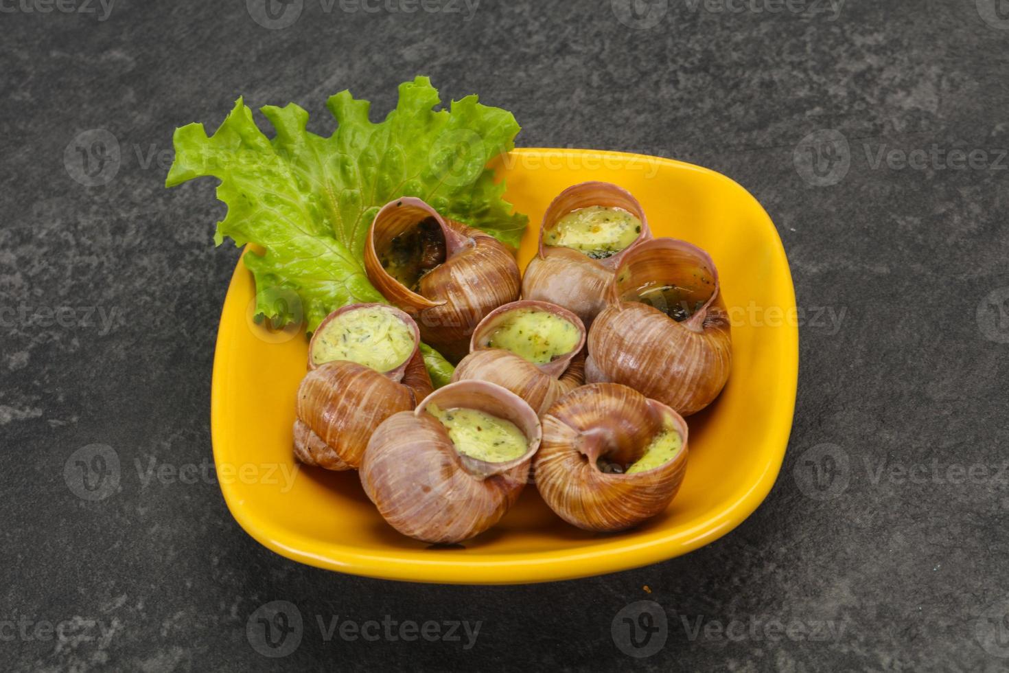 französische küche - schnecke mit sauce foto