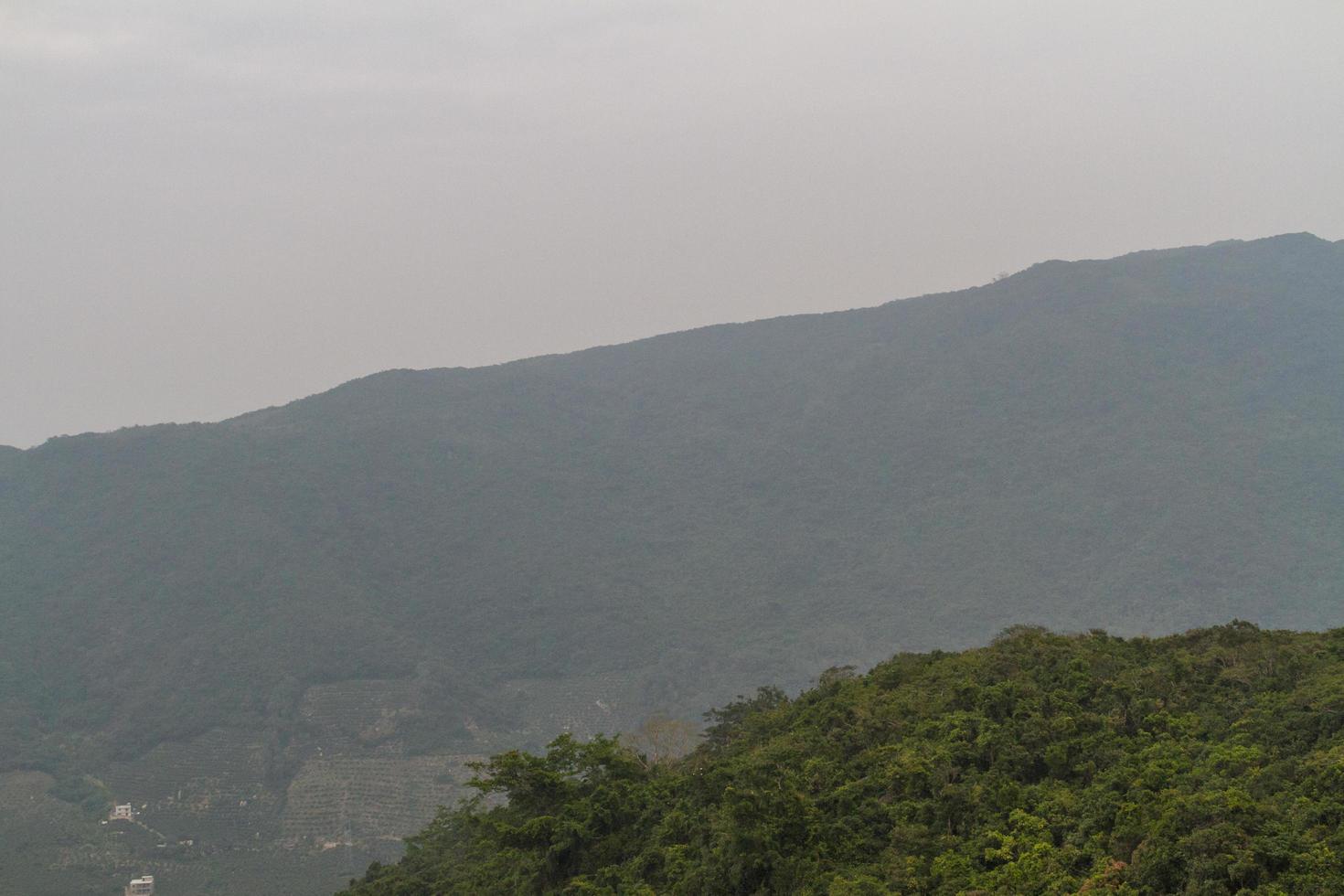 chinesischer dschungel, insel hainan foto