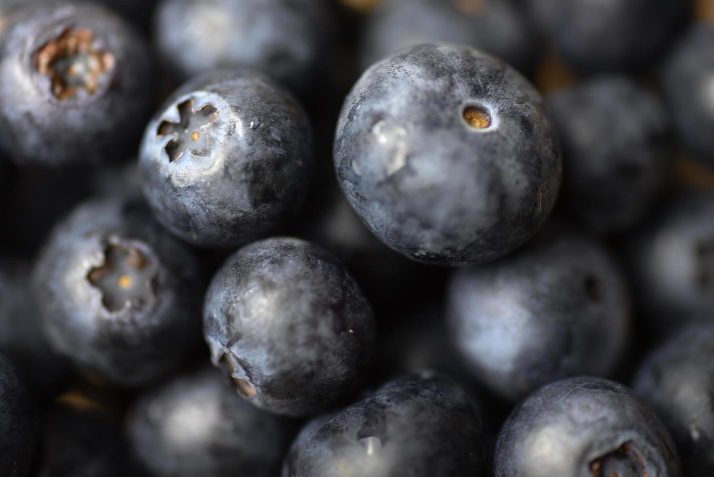 frische Blaubeeren im Makro foto