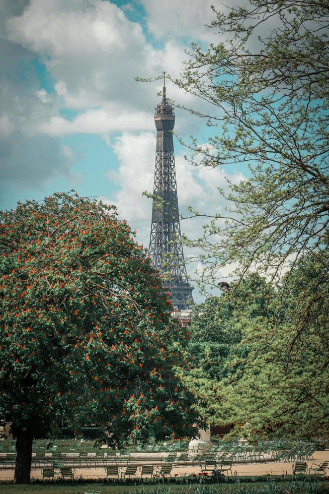 grüne Bäume in der Nähe von Eiffelturm foto