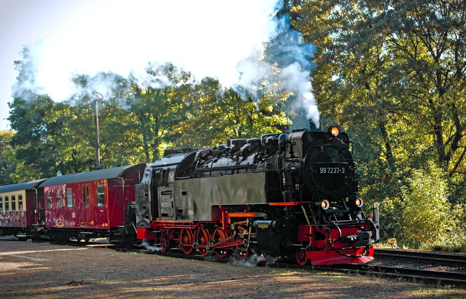 harzer dampfzug, sachsen-anhalt, deutschland, 2021 foto