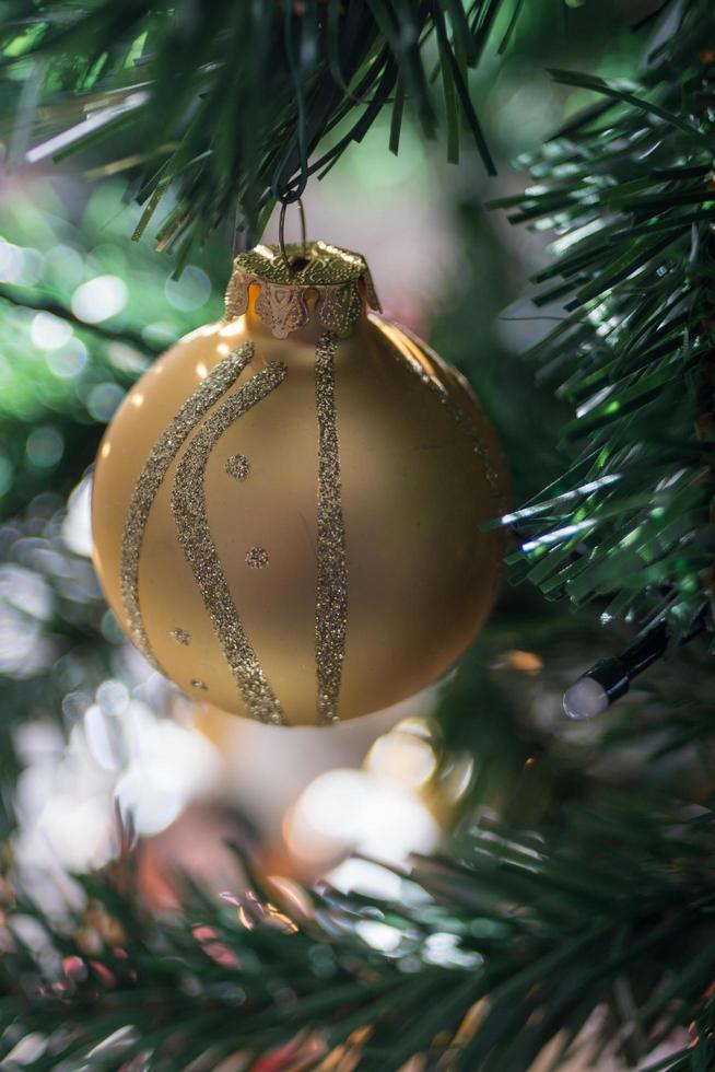 Weihnachtsbaumbirne foto