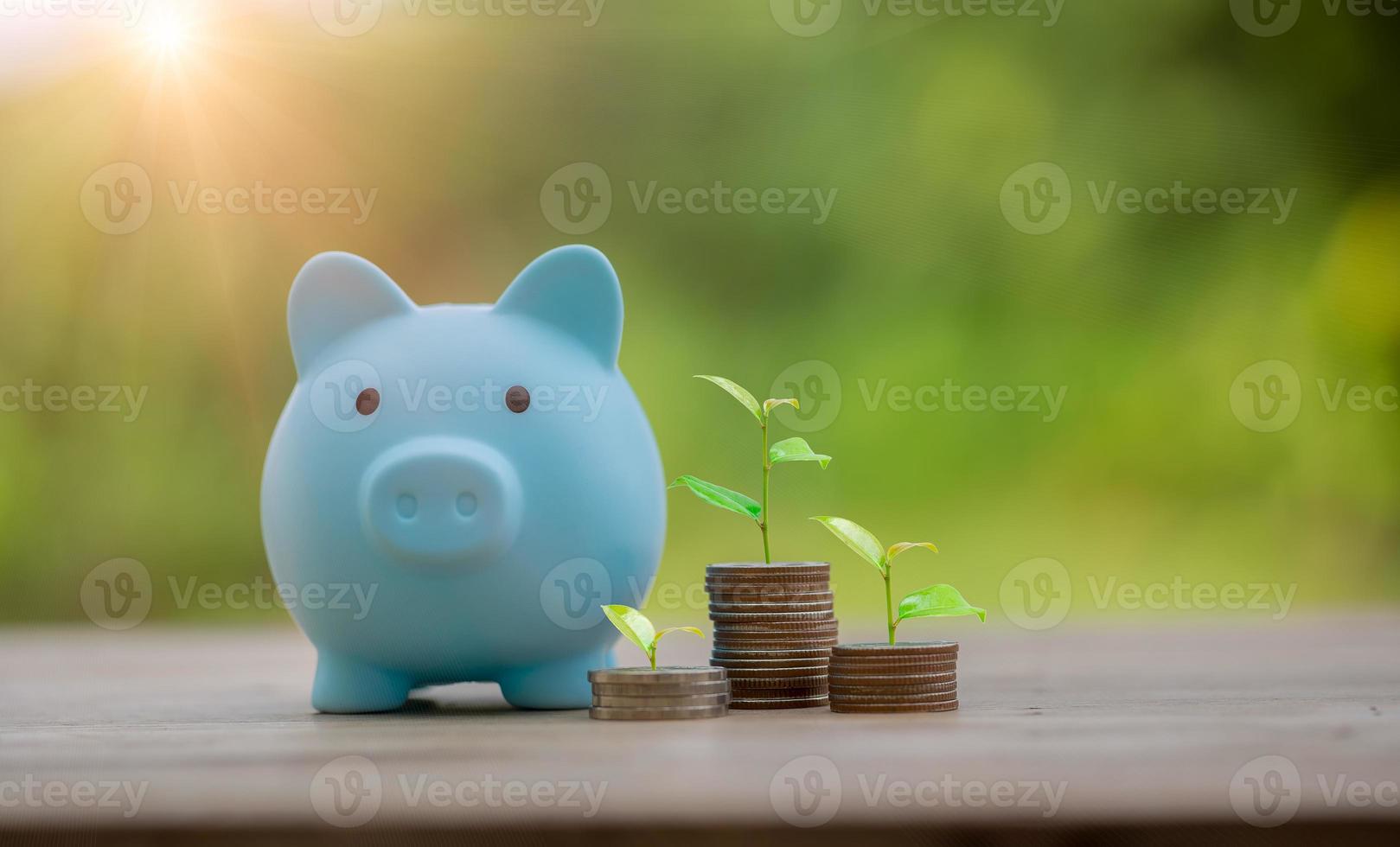 Wachsender Graph des Geldmünzenstapels mit Sparschweinsparkonzept. Unternehmensfinanzierung und Sparinvestitionen, Pflanzen, die auf Münzen aufwachsen. Einsparungen und Investitionen ausgleichen. Sparen Sie den Ruhestand für die Zinsidee foto