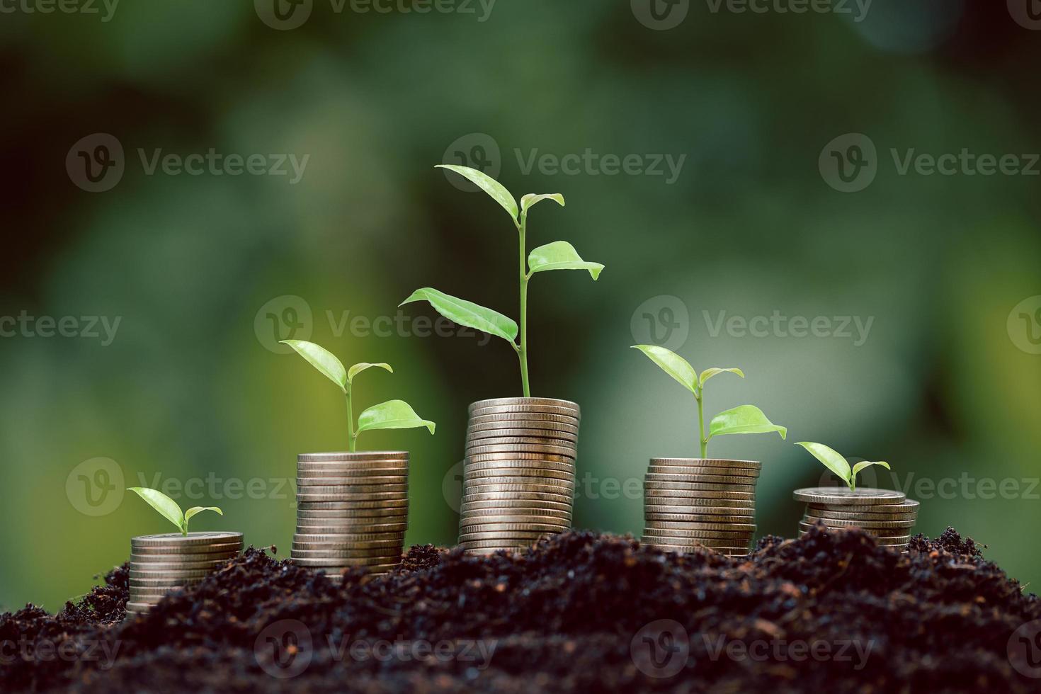 Geldmünzenstapel mit Sämlingspflanze, die auf grünem Naturumgebungshintergrund wächst. zinsbank, wachstumsidee für geschäftsinvestitionen. Darlehen wachsen lassen, wirtschaftliches, finanz- und buchhaltungskonzept sparen foto