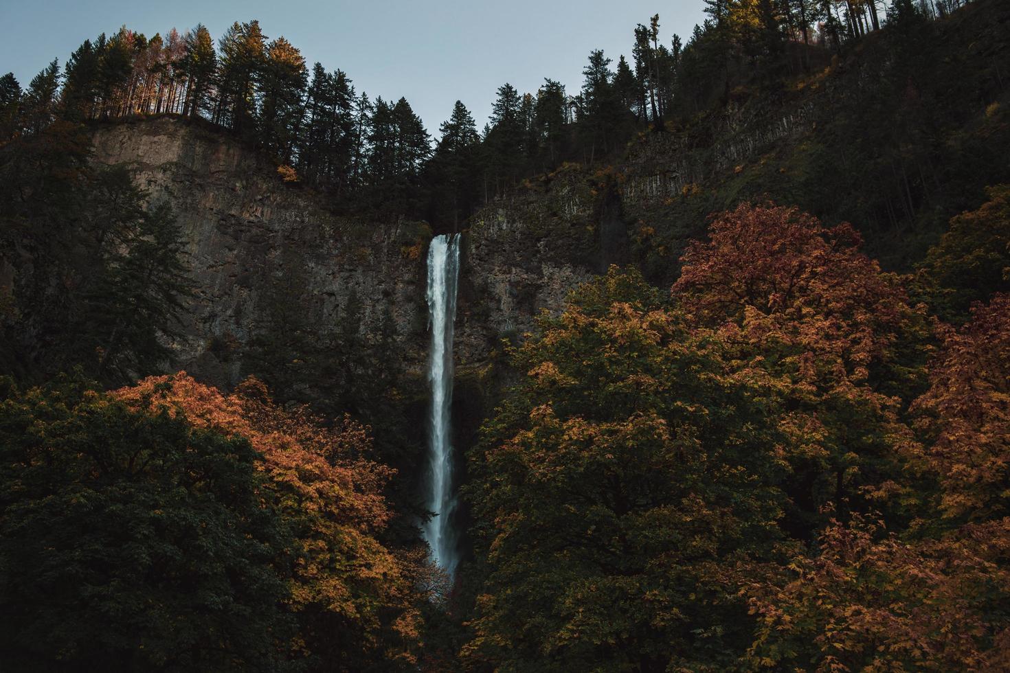 Wasserfall umgeben von Bäumen foto