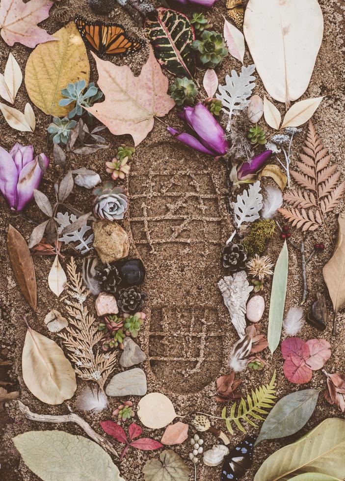 verschiedene Blumen auf Sand foto