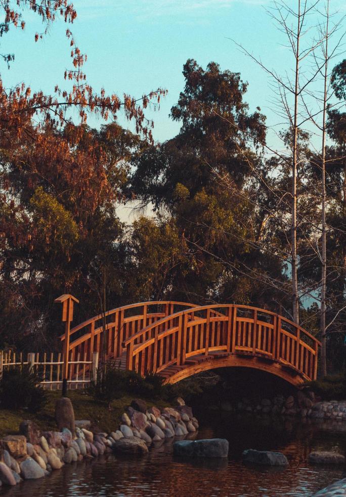 Holzbrücke über Teich foto