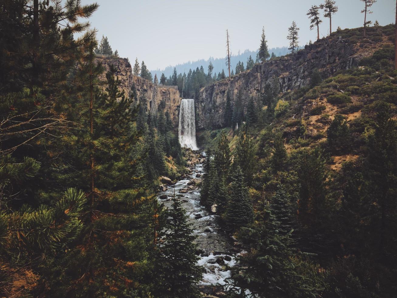 Wasserfall zwischen Bäumen und Hügeln foto