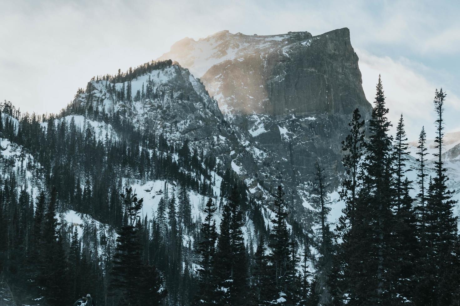 schneebedeckte Berge und Bäume foto